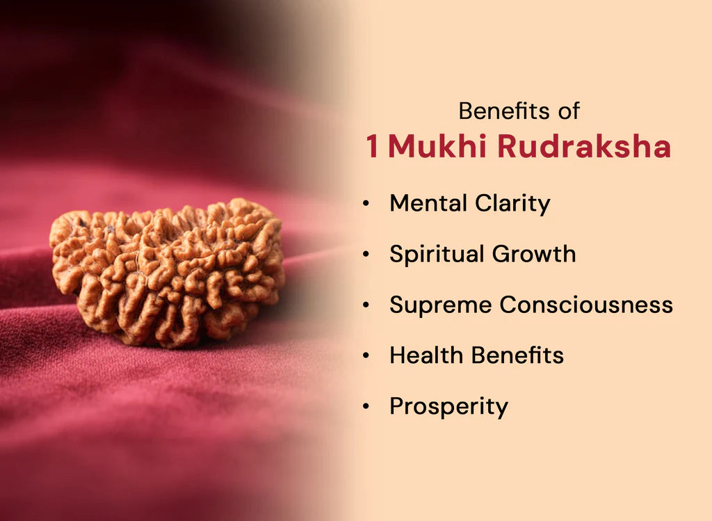 Ratmanee 1 Mukhi Kaju Rudraksha for Supreme Consciousness, Meditation & Moksha