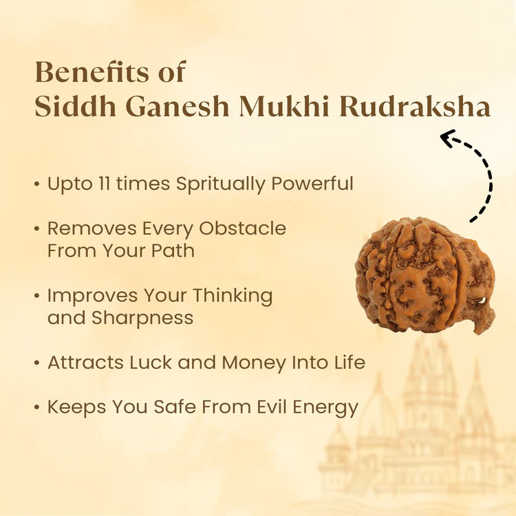 Ratmanee Ganesh Rudraksha for Obstacle Removal, Wisdom & Success