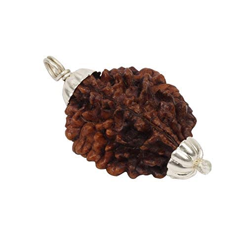 Ratmanee 2 Mukhi Rudraksha Red Thread Mala for Harmony, Unity & Emotional Balance