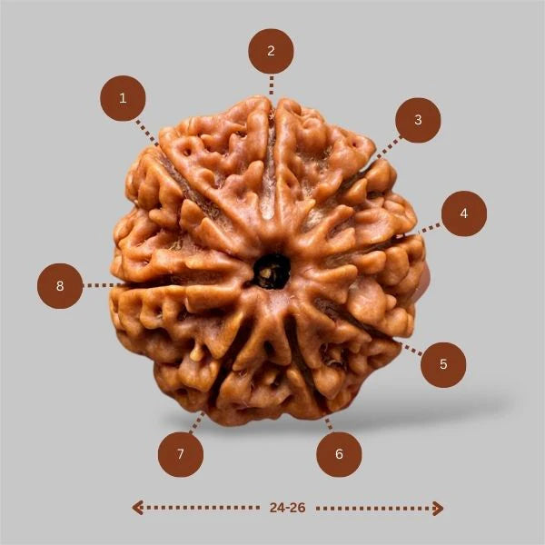 Ratmanee 8 Mukhi Rudraksha Red Thread Mala for Obstacle Removal, Clarity & Success