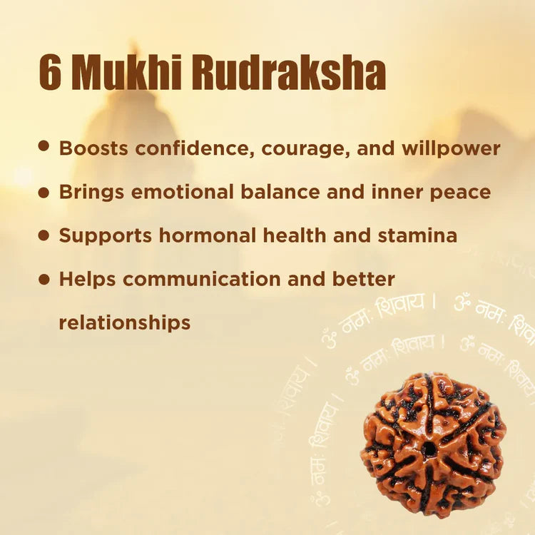 Ratmanee 6 Mukhi Rudraksha Red Thread Mala for Confidence, Harmony & Emotional Balance