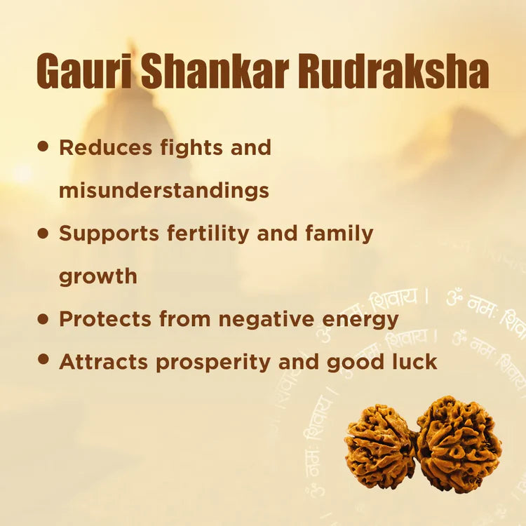 Ratmanee Gauri Shankar Rudraksha for Love, Harmony & Divine Union