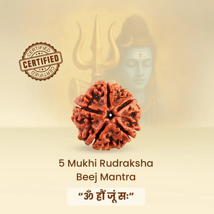 Ratmanee 5 Mukhi Rudraksha Red Thread Mala for Peace, Balance & Daily Spiritual Wear