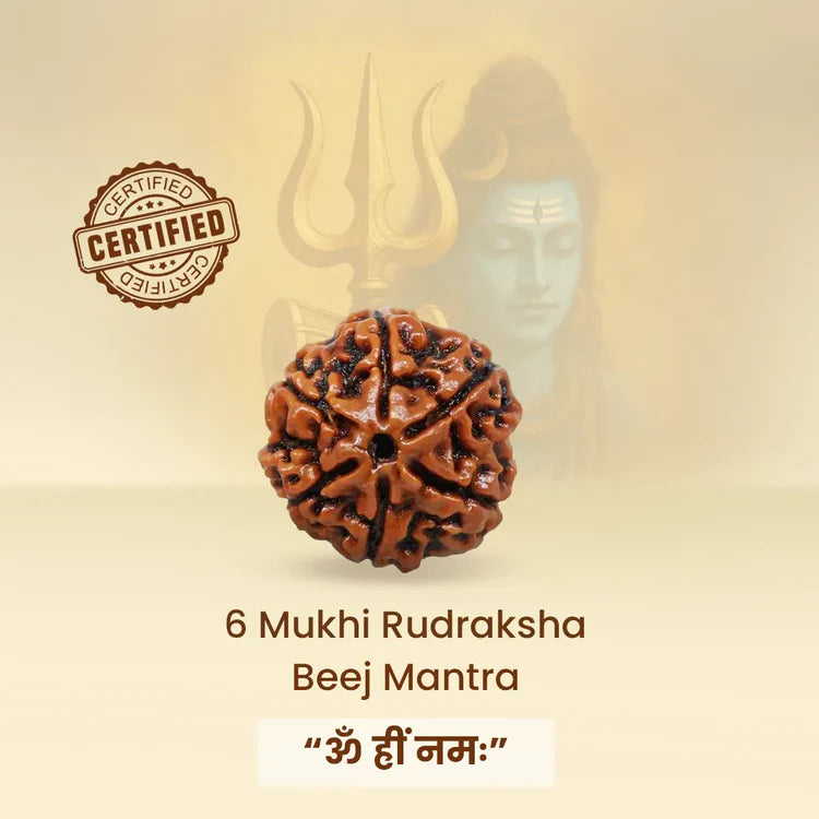 Ratmanee 6 Mukhi Rudraksha Red Thread Mala for Confidence, Harmony & Emotional Balance
