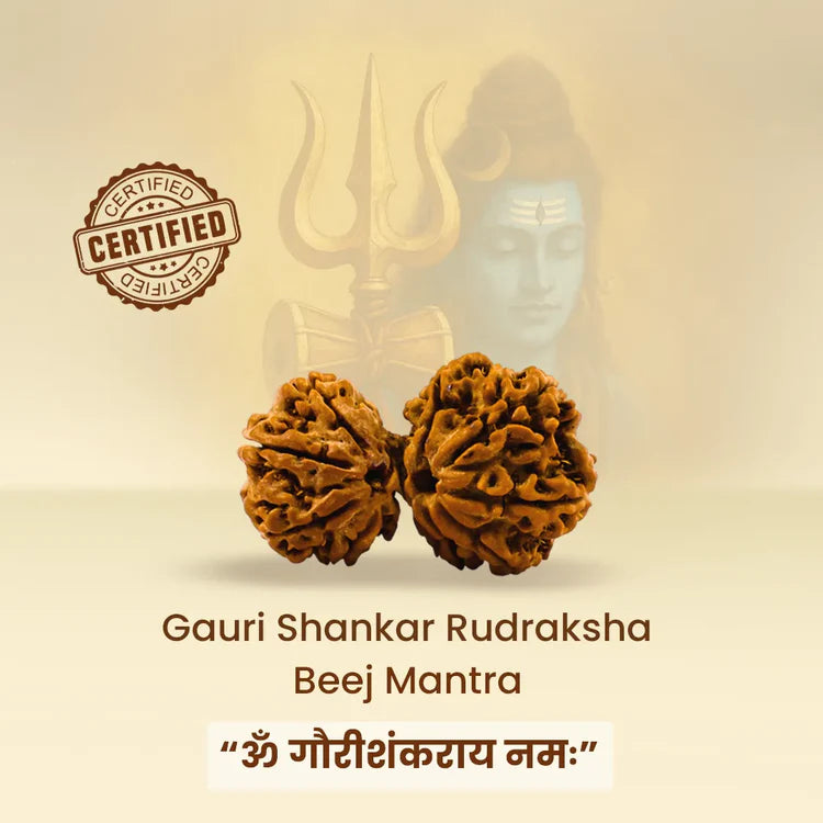 Ratmanee Gauri Shankar Rudraksha for Love, Harmony & Divine Union