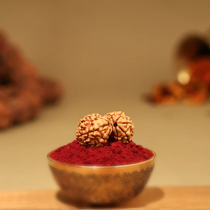 Ratmanee Gauri Shankar Rudraksha for Love, Harmony & Divine Union