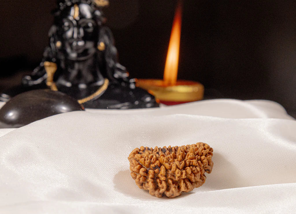 Ratmanee 1 Mukhi Kaju Rudraksha for Supreme Consciousness, Meditation & Moksha