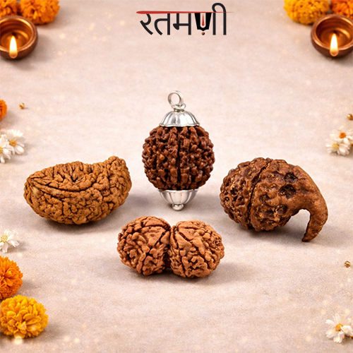 Rudraksha
