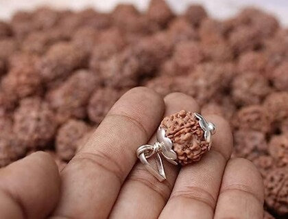 Ratmanee 1 Mukhi Underdeveloped Rudraksha – Natural Formation for Meditation & Spiritual Practice