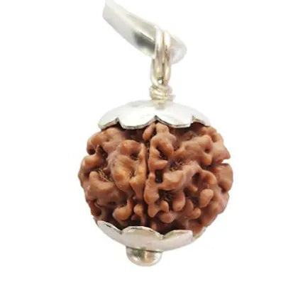 Ratmanee 1 Mukhi Underdeveloped Rudraksha – Natural Formation for Meditation & Spiritual Practice