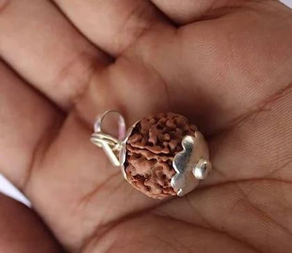 Ratmanee 1 Mukhi Underdeveloped Rudraksha – Natural Formation for Meditation & Spiritual Practice