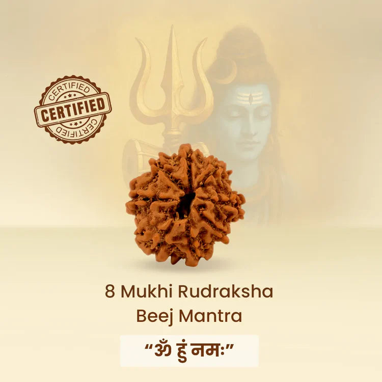 Ratmanee 8 Mukhi Rudraksha Red Thread Mala for Obstacle Removal, Clarity & Success